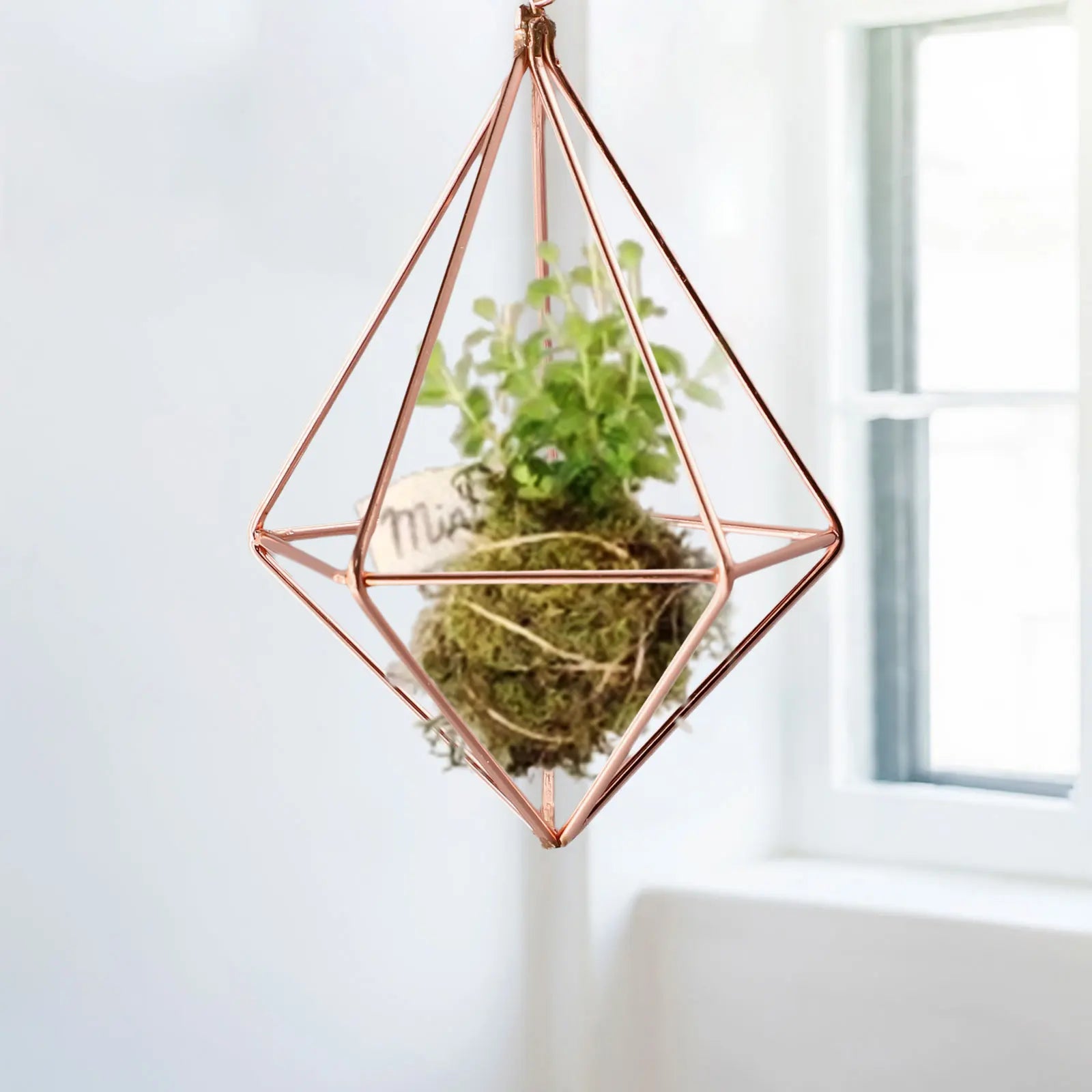 Hanging Geometric Metal Pot Rack