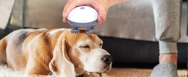Electronic Scalp Head Massager